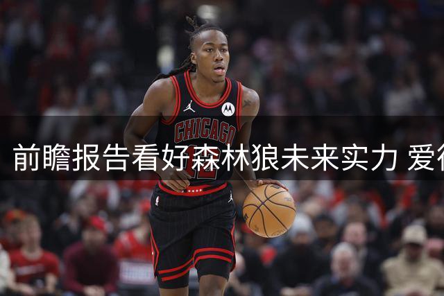 前瞻报告看好森林狼未来实力 爱德华兹成建队基石