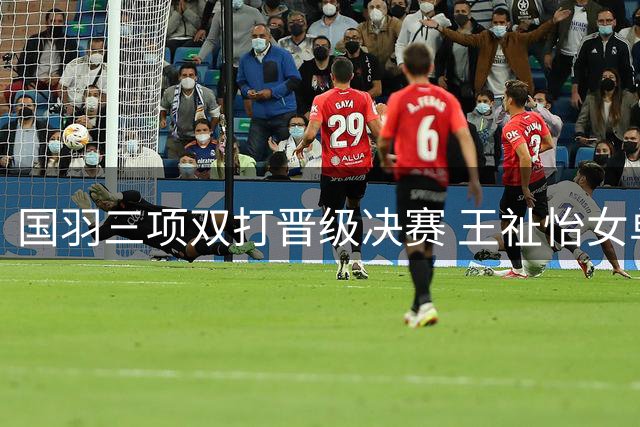 国羽三项双打晋级决赛 王祉怡女单止步世锦赛四强